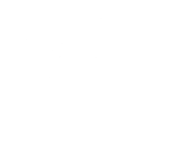 Cartwheeling bagel mascot